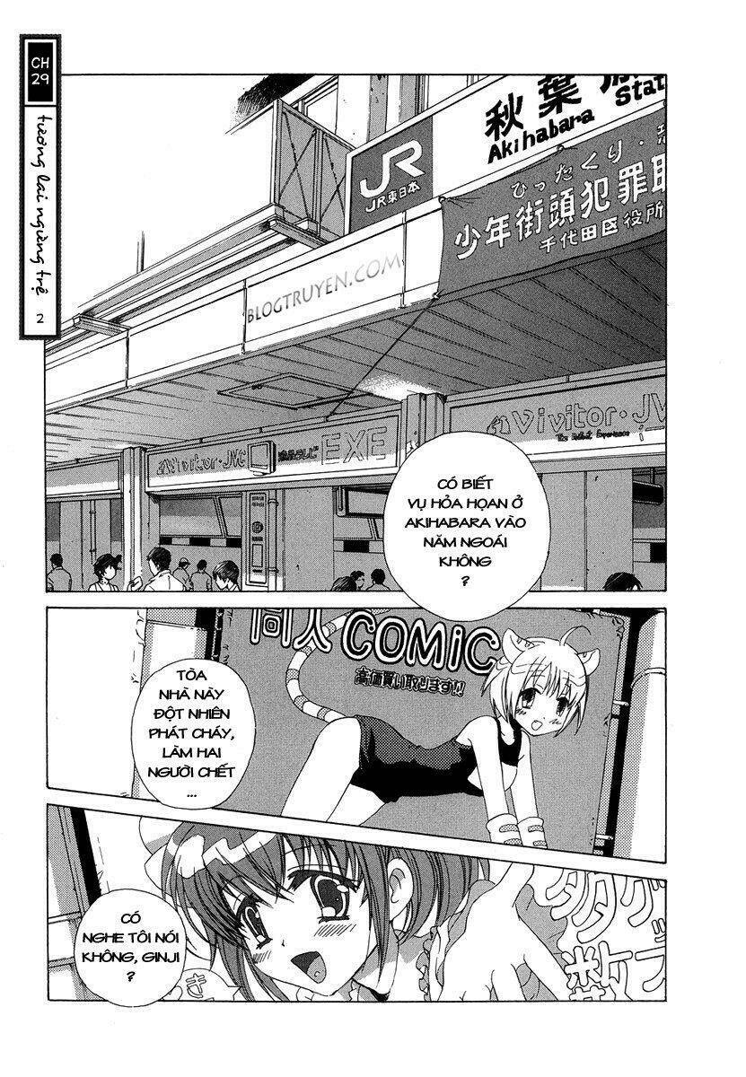Butterfly: Chapter 29