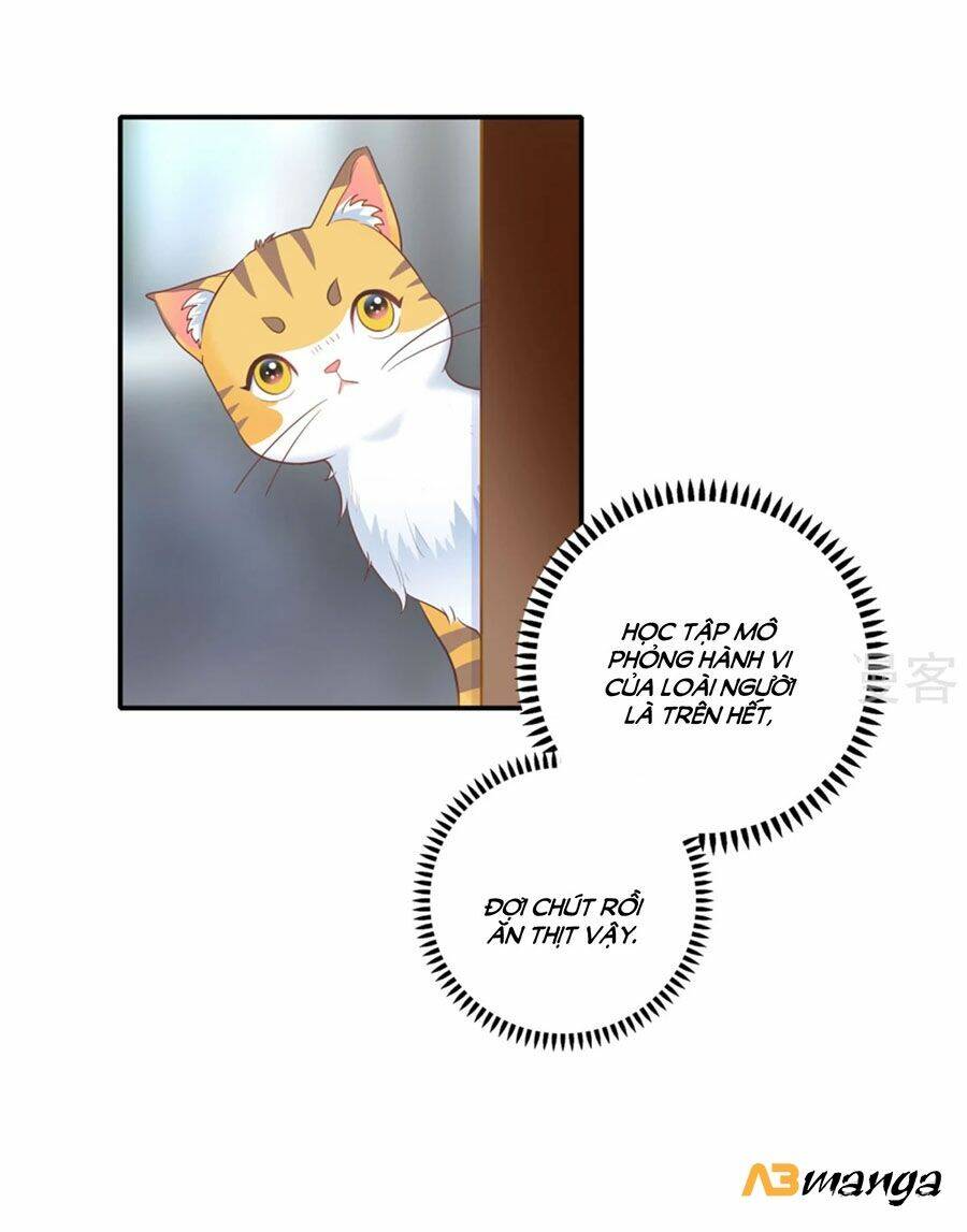 Hẹn Hò Siêu Tốc: Chapter 1