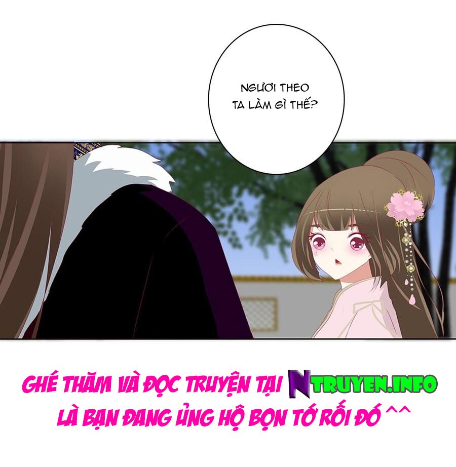 Thông Linh Phi: Chapter 516