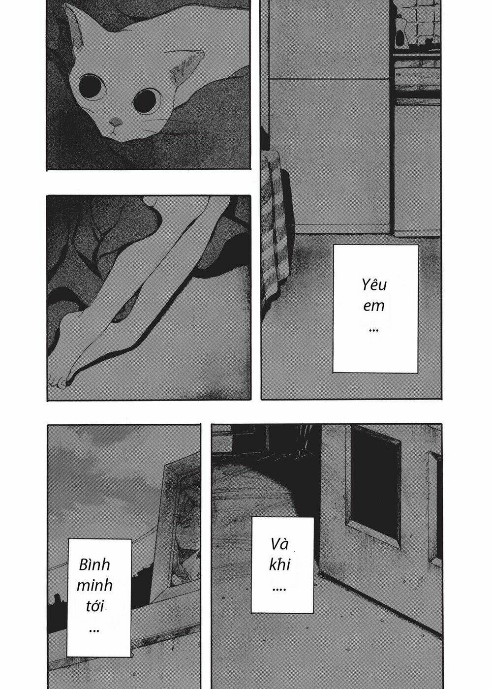 Chú Mèo Và Cô Chủ: Chapter 3