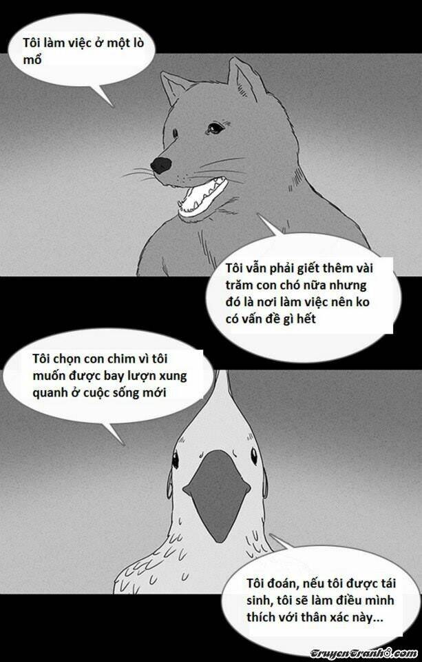 Những Câu Chuyện Bất Thường: Chapter 58