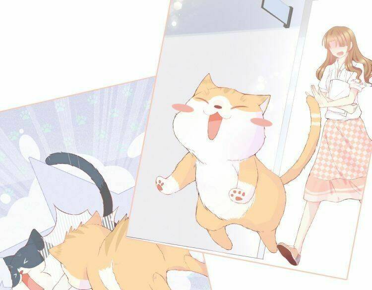 Bên Anh Mới Là Cả Thế Giới: Chapter 5