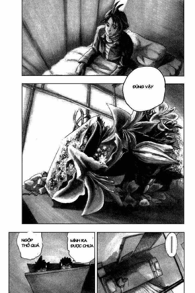 Lá Chắn Mắt: Chapter 37