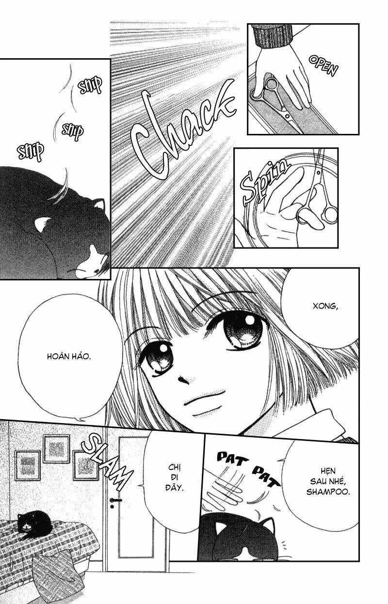 Dự Án Kéo Vàng: Chapter 2