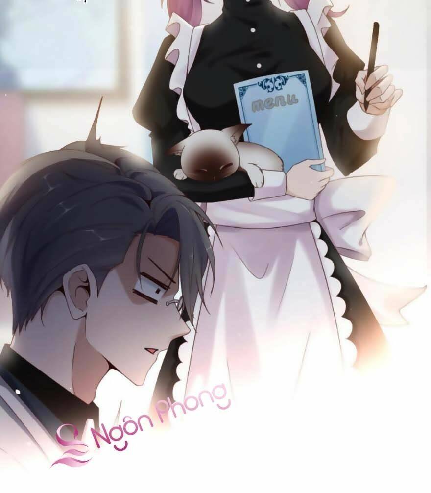 Quyến Rũ Không Thành: Chapter 30