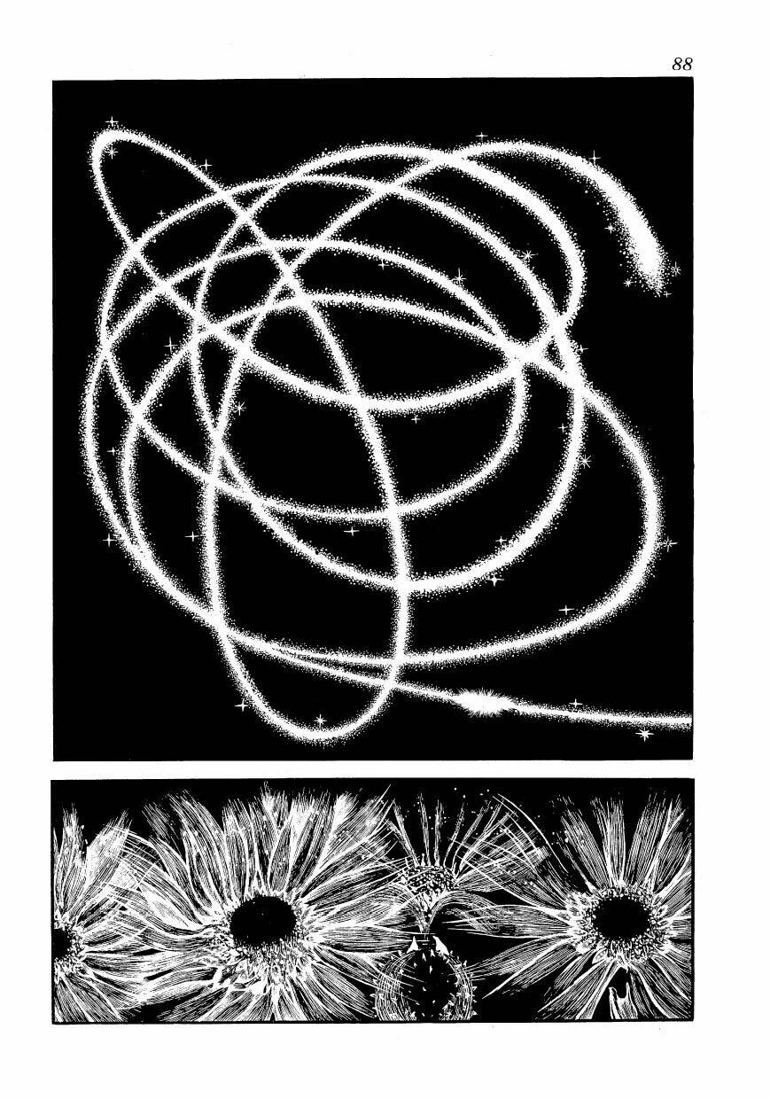 Chim Lửa: Chapter 55