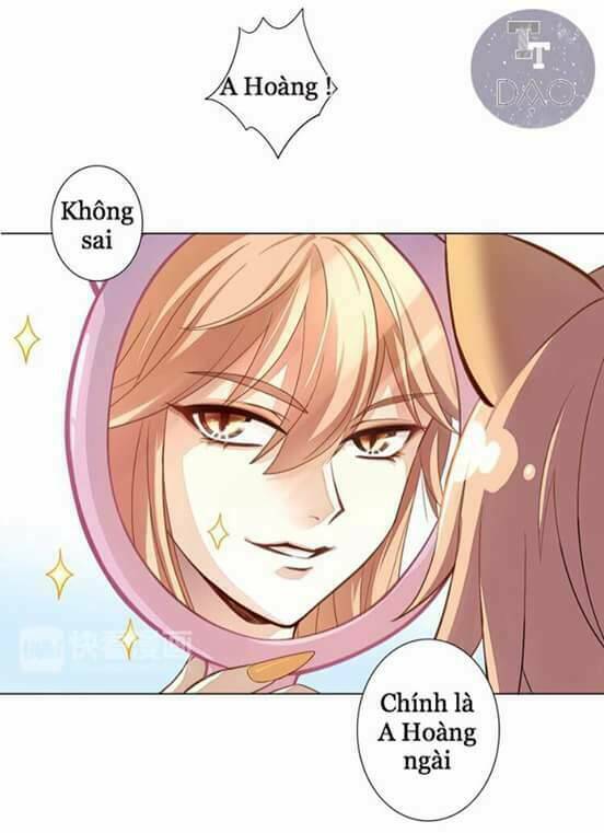 Dưới Móng Vuốt Mèo: Chapter 1