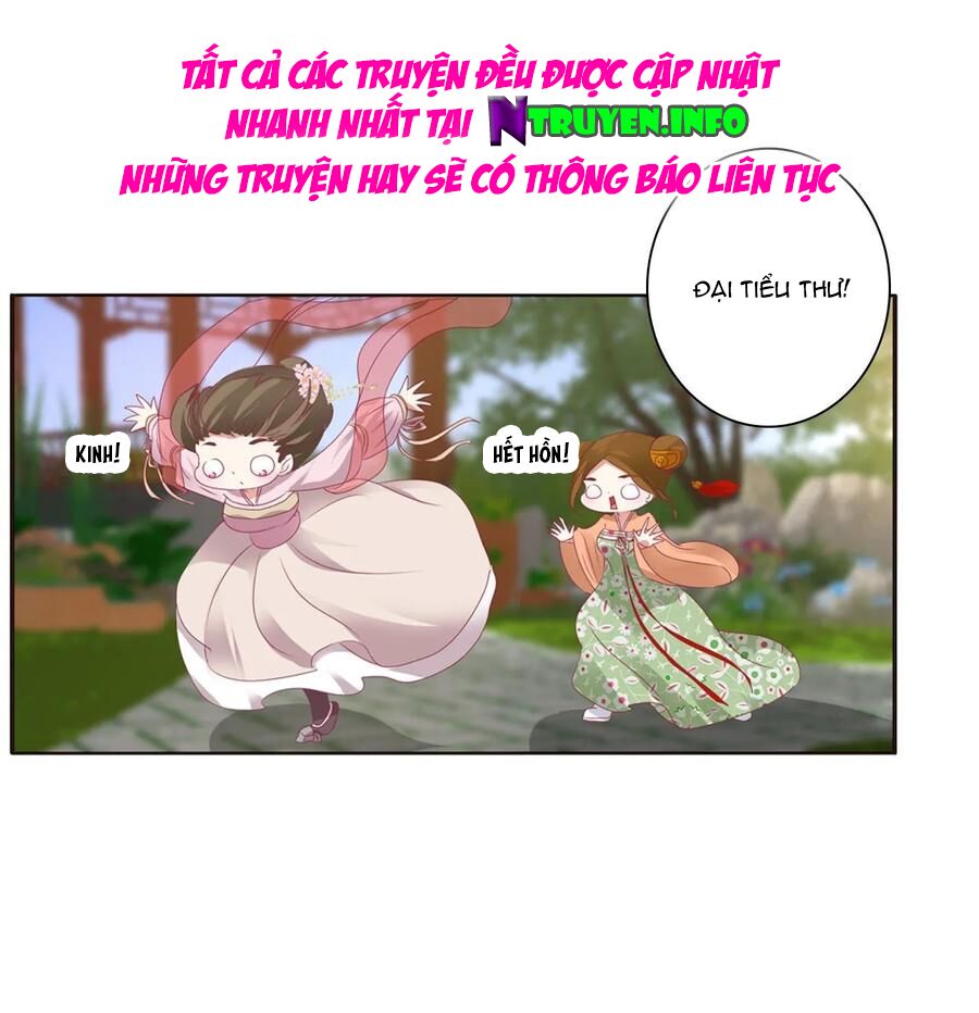 Thông Linh Phi: Chapter 612