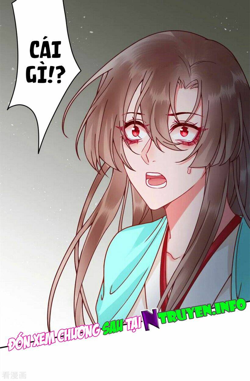 Hoàng Phi 9000 Tuổi: Chapter 105