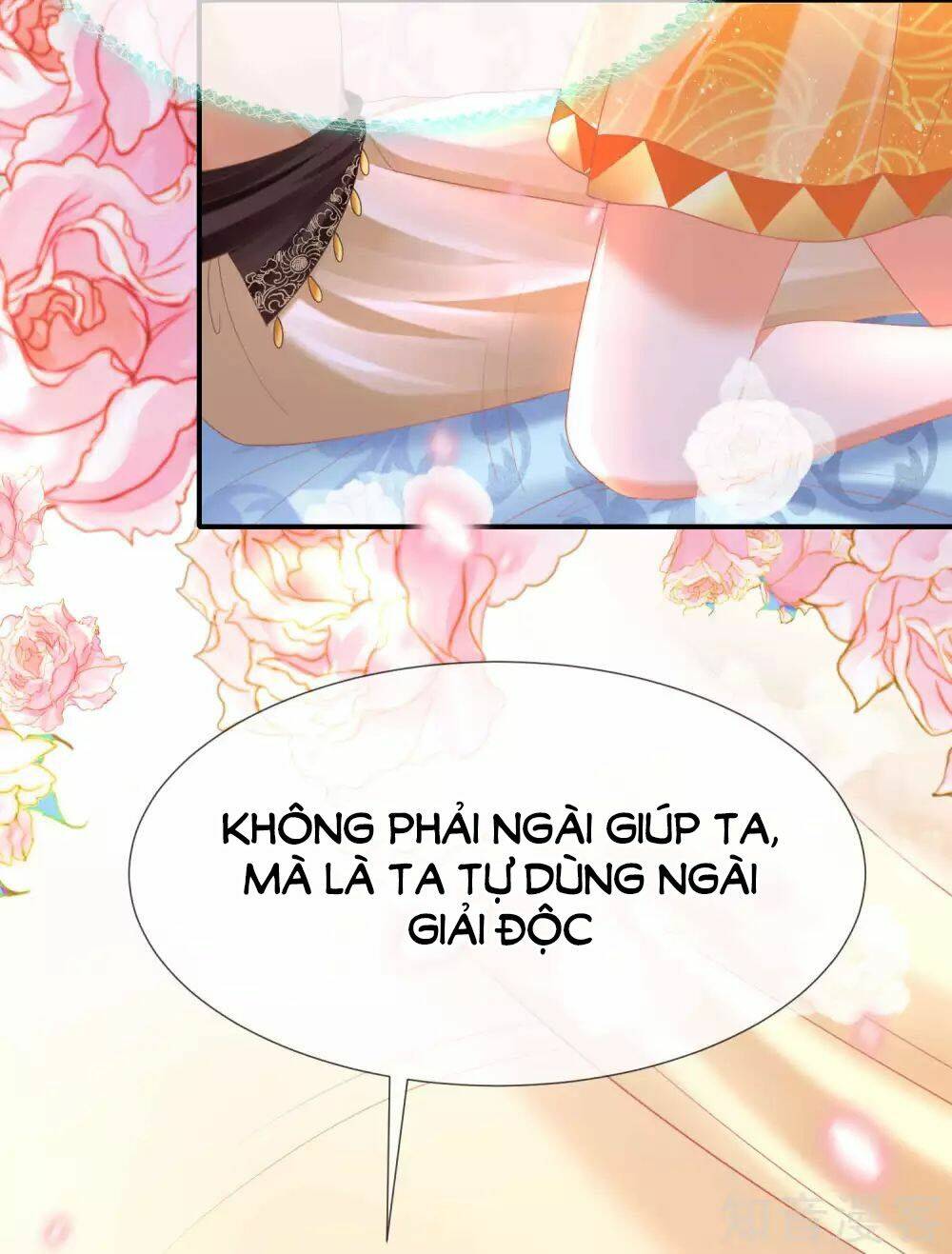 Sủng Hậu Của Vương: Chapter 37