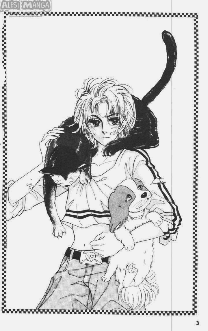 Nhỏ Con Trai: Chapter 4