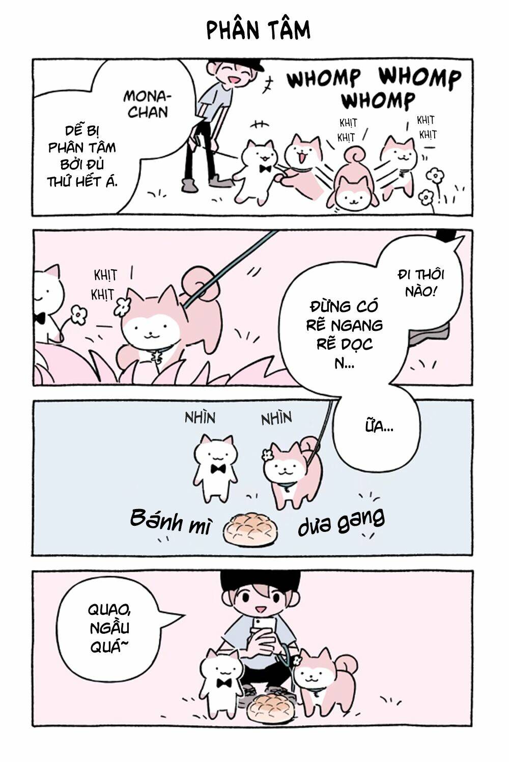 Chú Mèo Kỳ Diệu Kyuu-Chan: Chapter 621