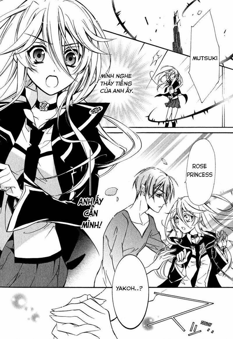 Nụ Hôn Của Công Chúa Tường Vi: Chapter 36