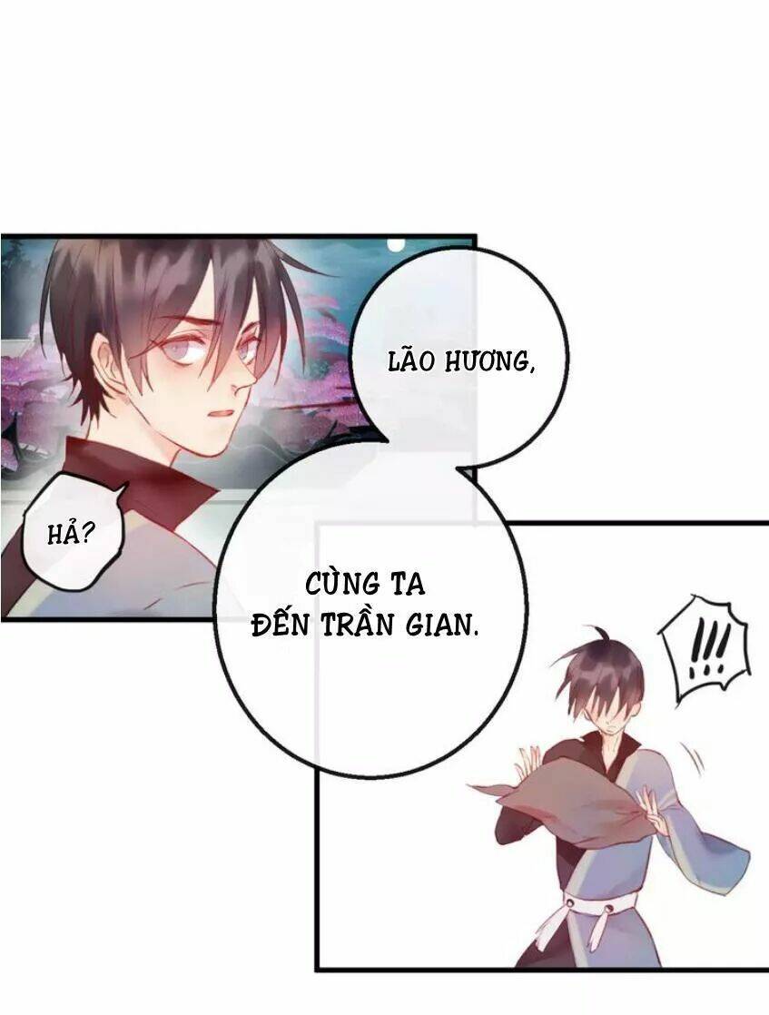 Hồ Minh Chi Hương: Chapter 5