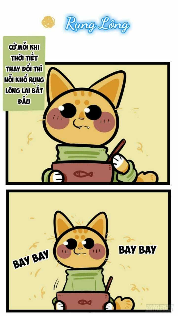 Đời Không Như Mình Tưởng: Chapter 35