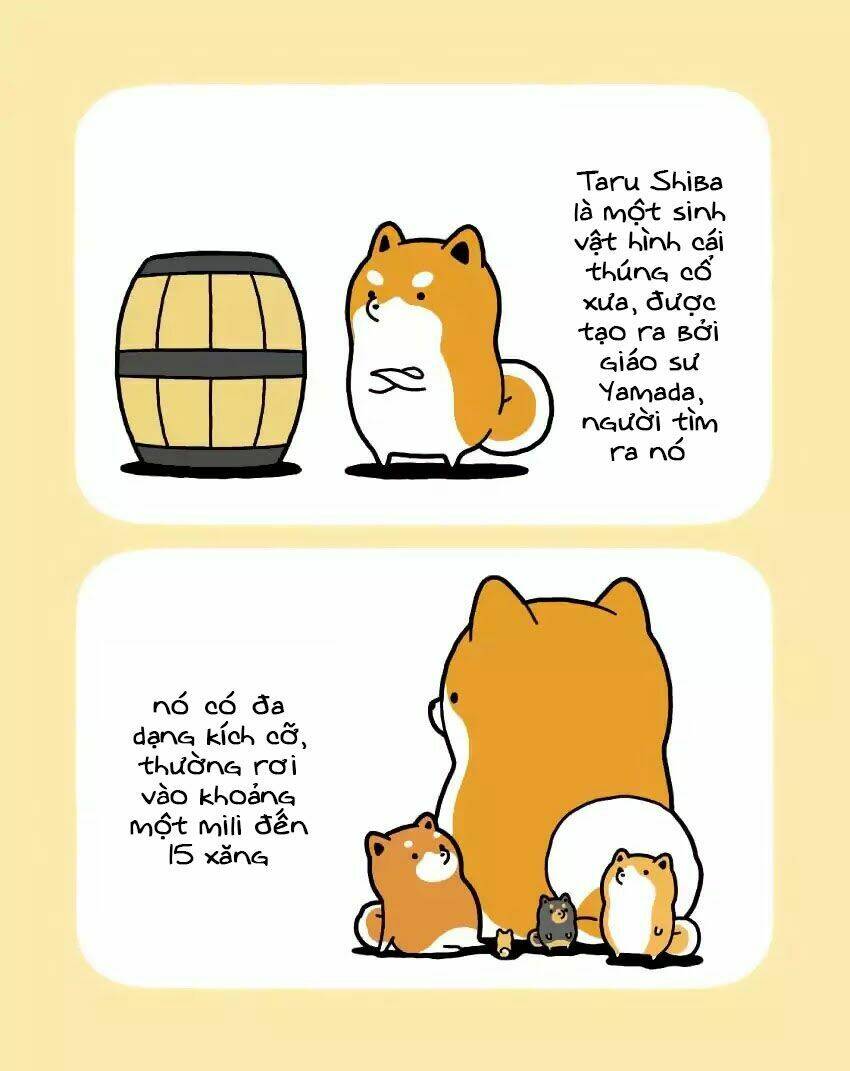 Taru Shiba: Chapter 1