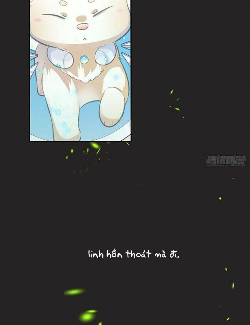 Vương Phi Thật Thích Trang Điểm: Chapter 168