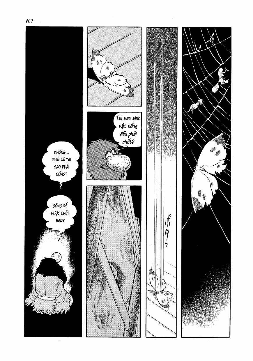 Chim Lửa: Chapter 50