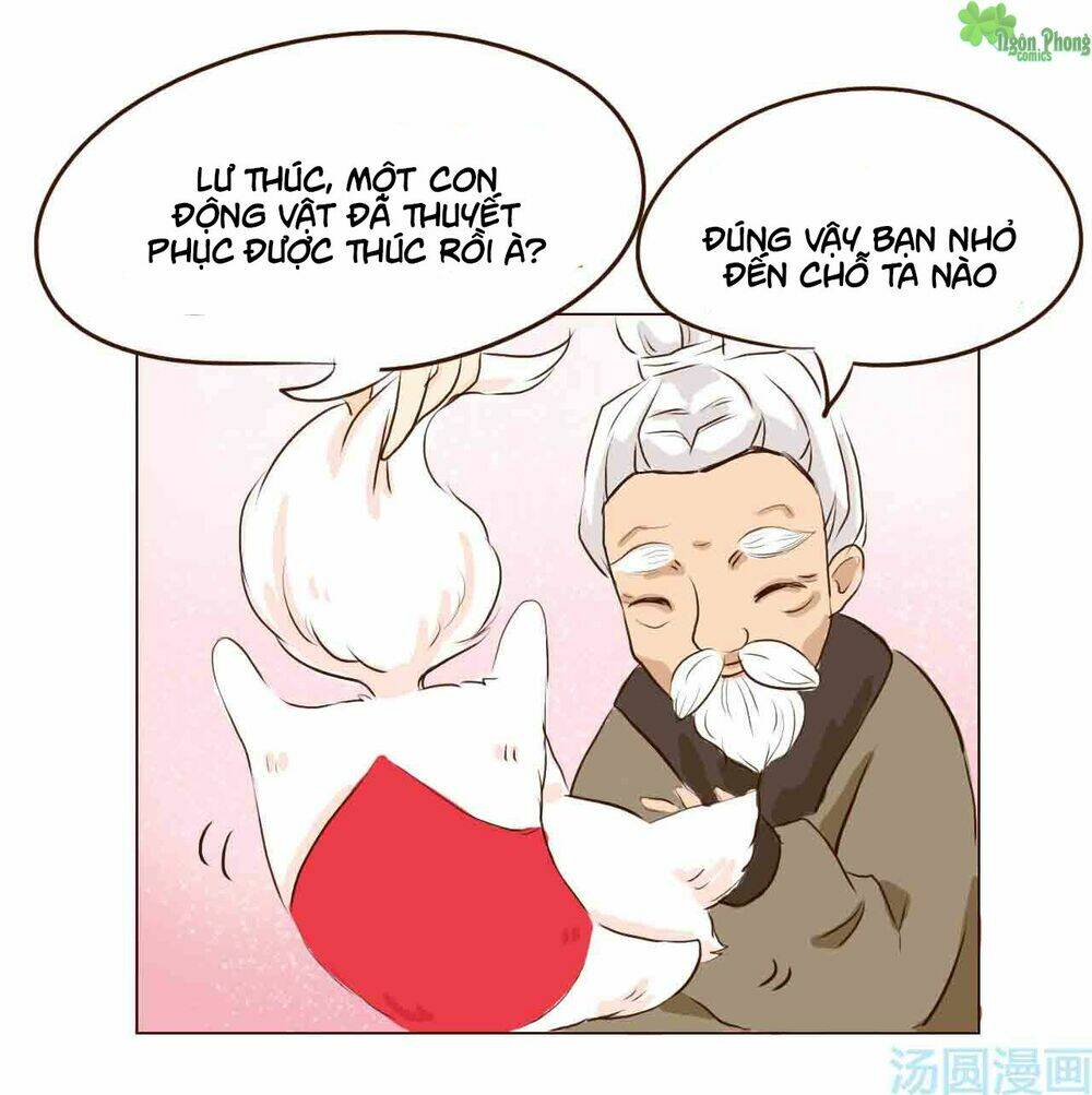 Mẫu Phi Đuôi Của Người Lộ Ra Rồi Kìa: Chapter 5