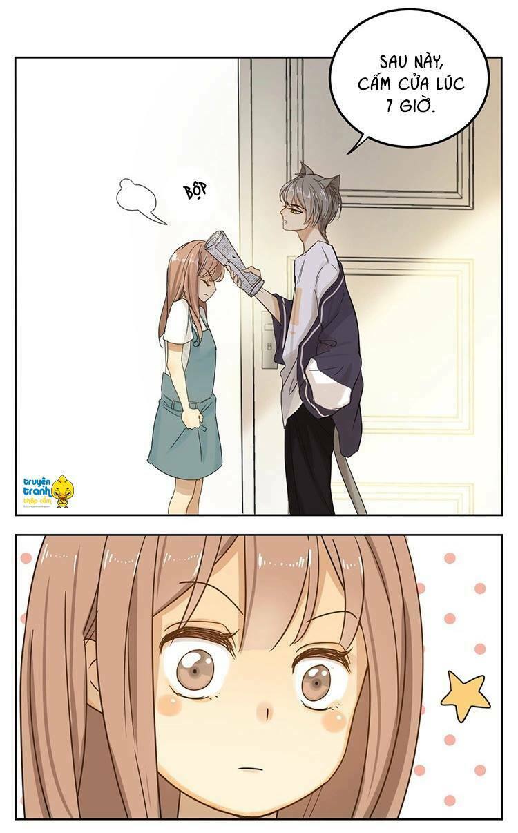 Cứu mạng ! Loài mèo thống trị thế giới rồi !: Chapter 12