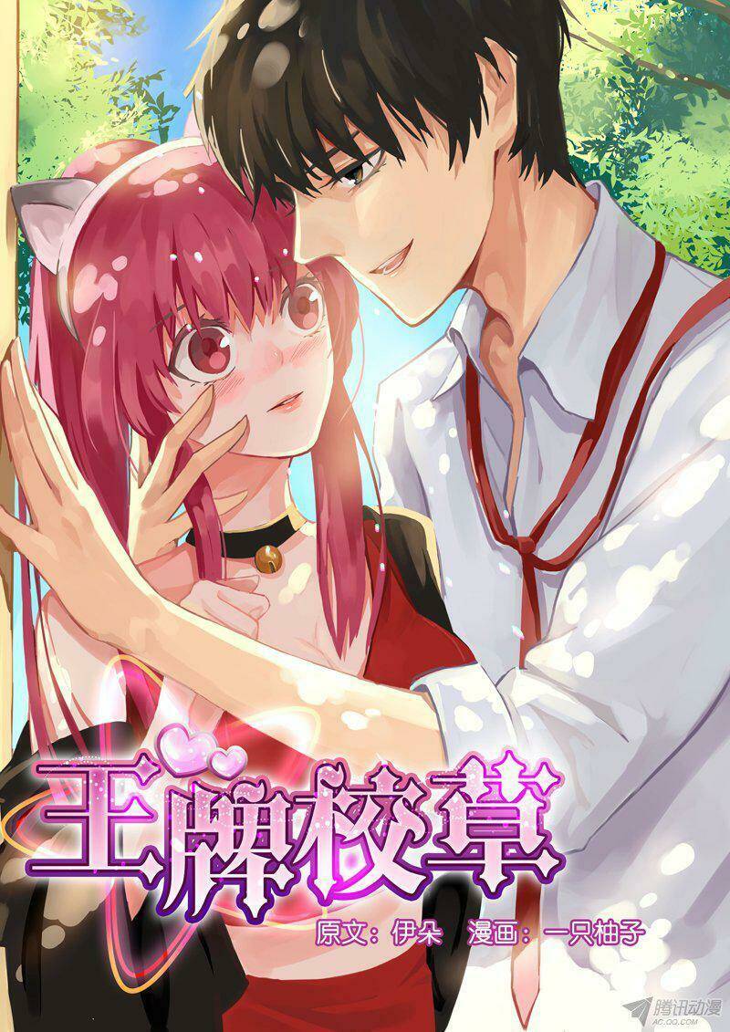 Vương Bài Giáo Thảo: Chapter 1