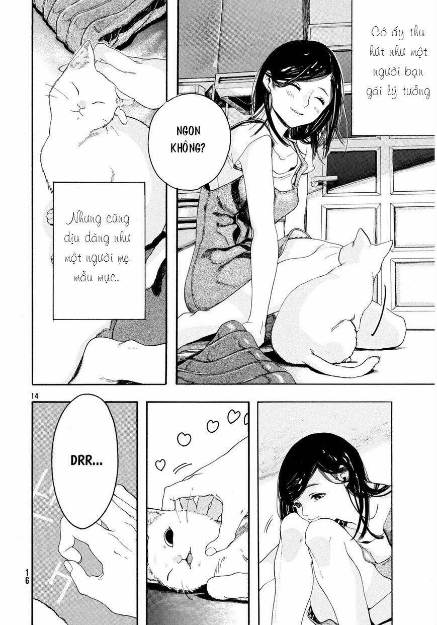 Chú Mèo Và Cô Chủ: Chapter 1