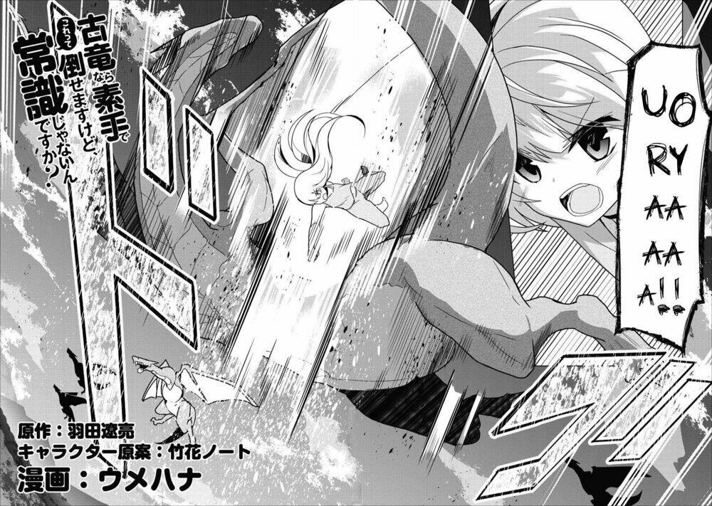 Koryuu Nara Sude De Taosemasu Kedo, Kore Tte Joushiki Janai N Desu Ka?: Chapter 1