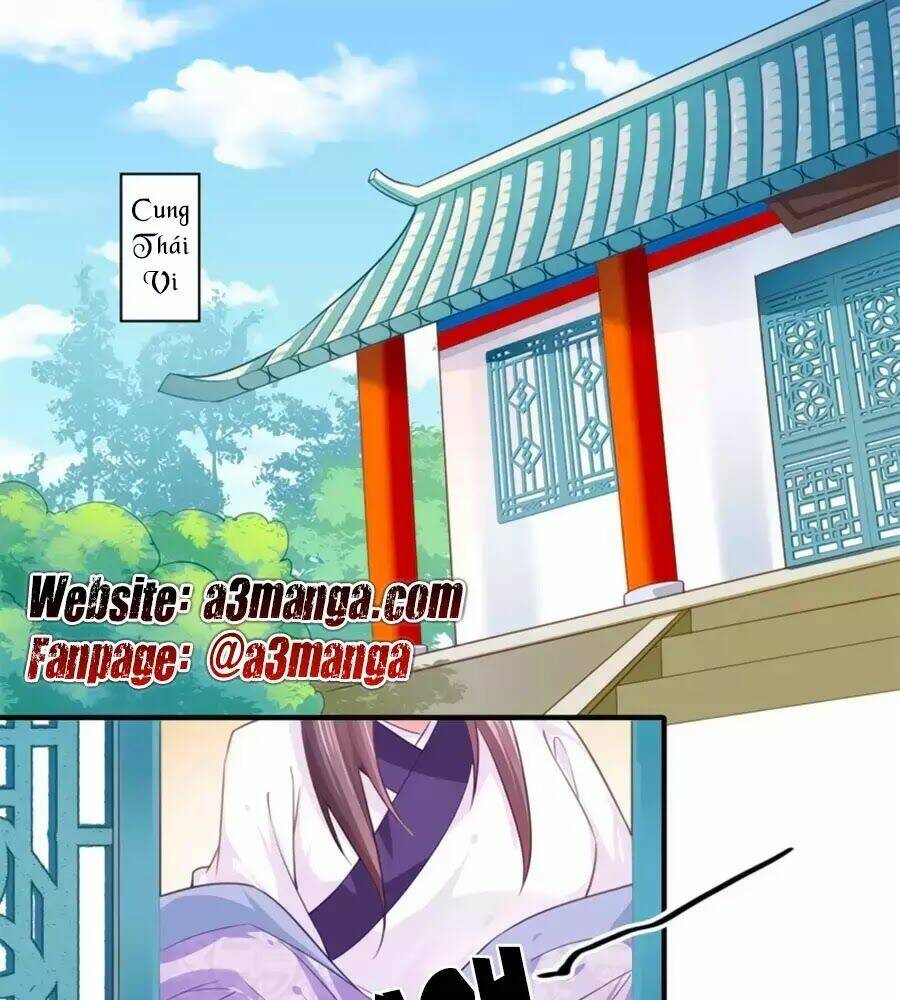 Khuynh Thế Y Phi Muốn Bỏ Chồng: Chapter 110