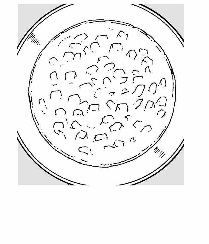 Mắc Kẹt Trên Mặt Trăng: Chapter 6