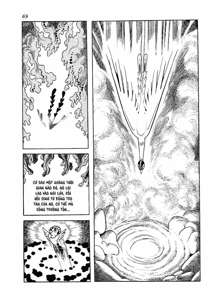 Chim Lửa: Chapter 3