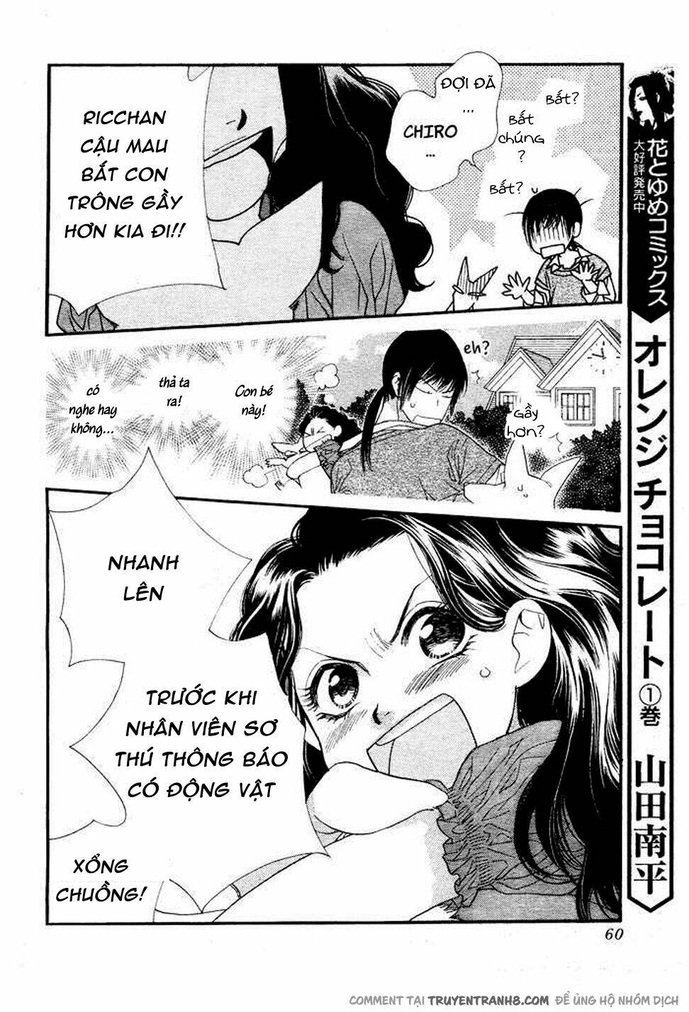 Orange Chocolate: Chapter 8