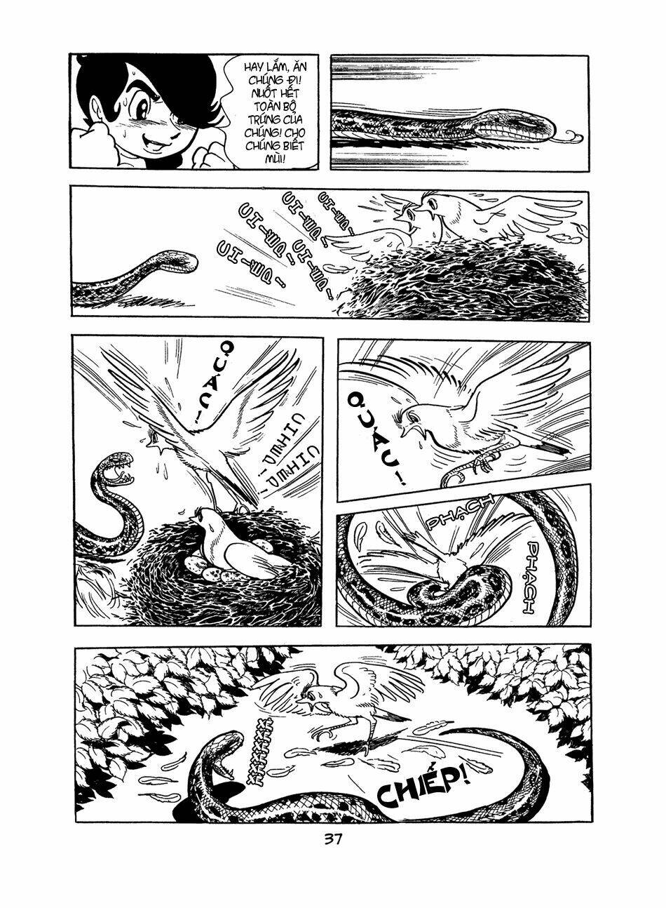 Apollo\’s Song: Chapter 0