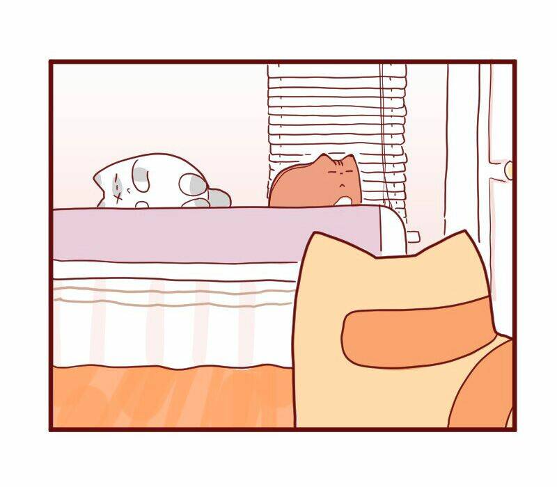 Saphie: Chú mèo một mắt: Chapter 10