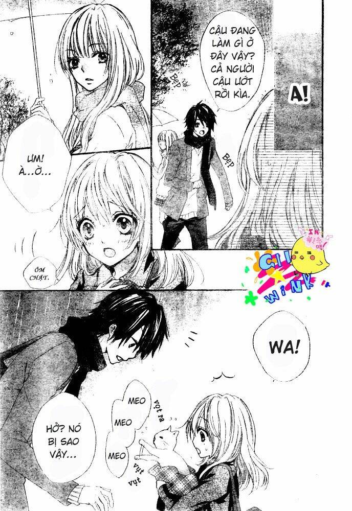 Tình Yêu Của Hiyo: Chapter 5