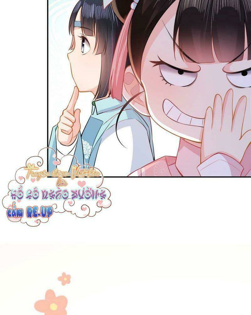 Quận Chúa Vững Vàng, Thiết Lập Nhân Vật Không Thể Vỡ: Chapter 19