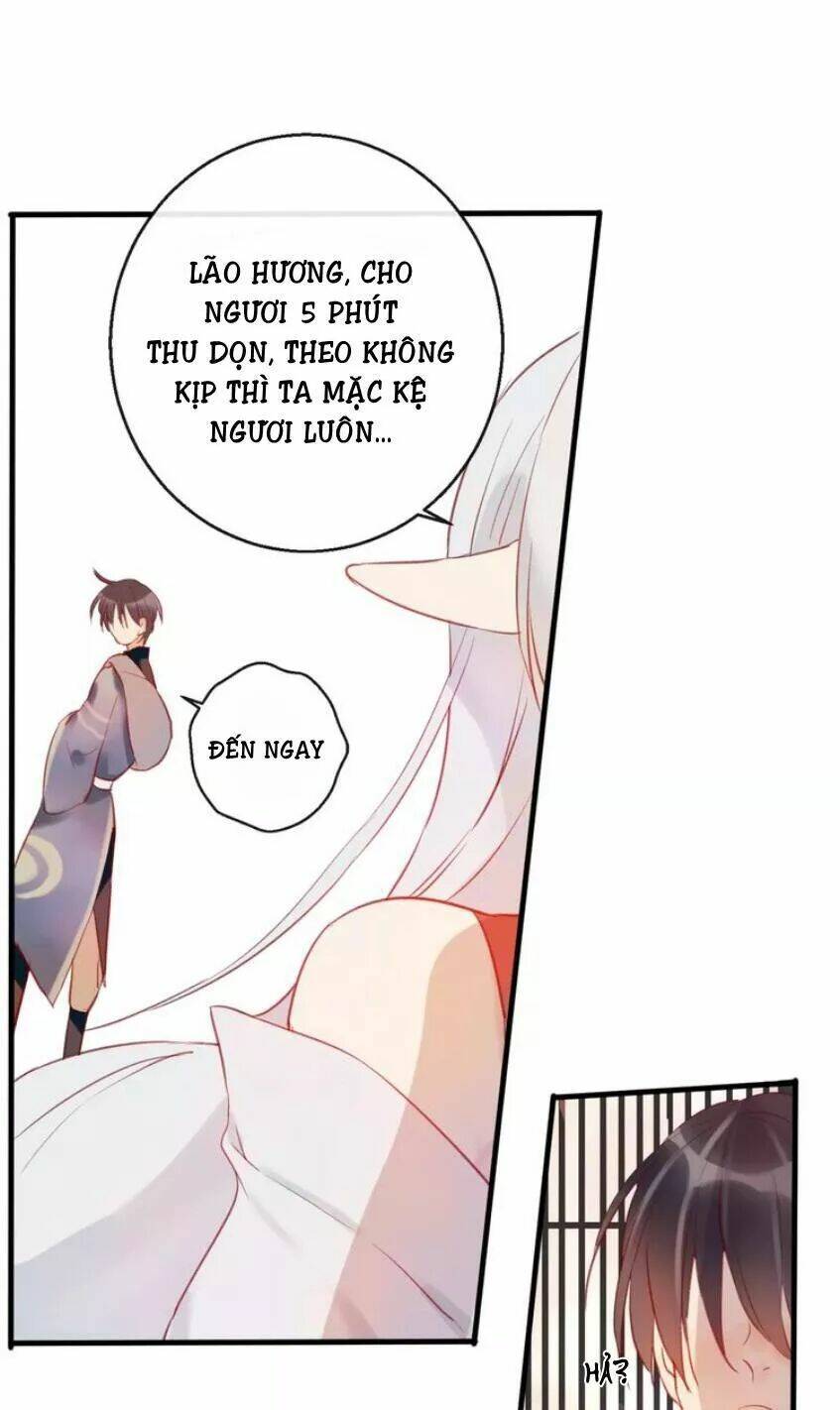 Hồ Minh Chi Hương: Chapter 5