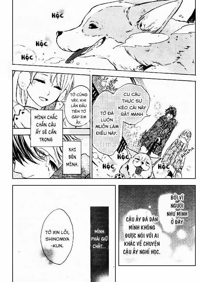 Thế giới của Shinomiya-kun: Chapter 3