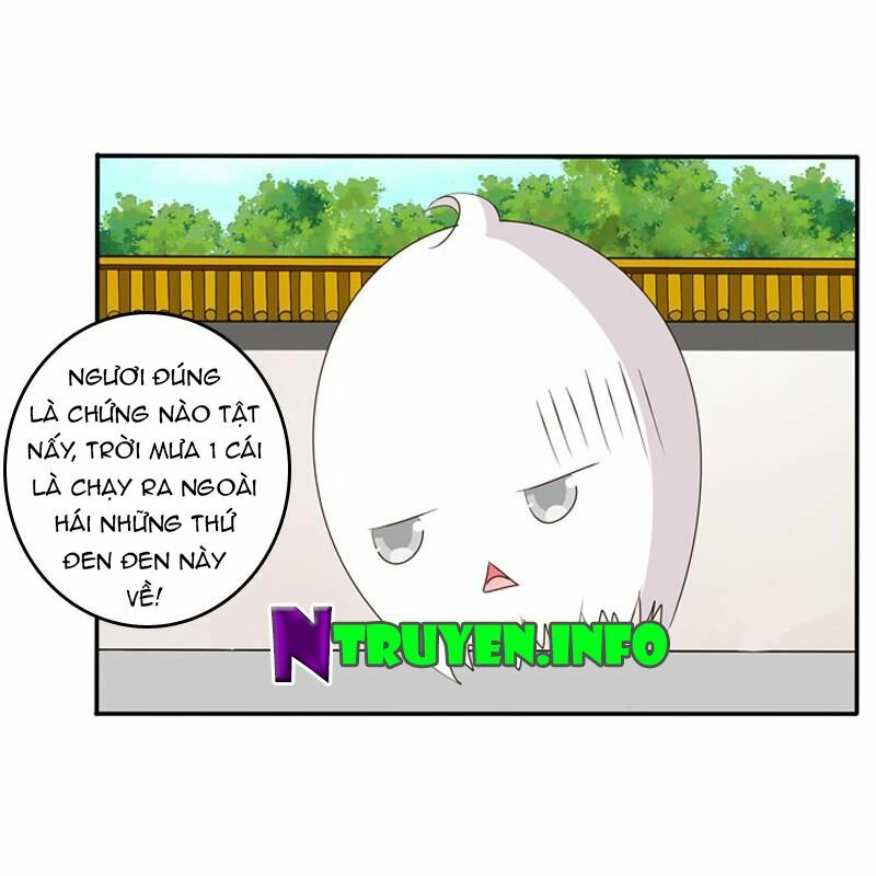 Thông Linh Phi: Chapter 103