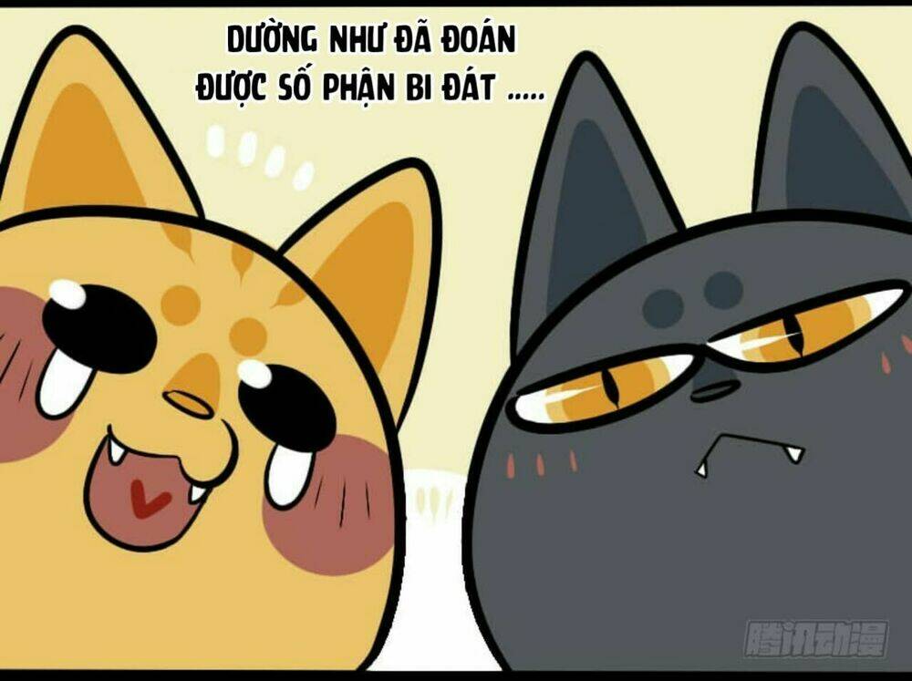 Đời Không Như Mình Tưởng: Chapter 8