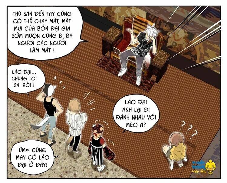 Cứu Mạng! Loài Mèo Thống Trị Thế Giới Rồi!: Chapter 19
