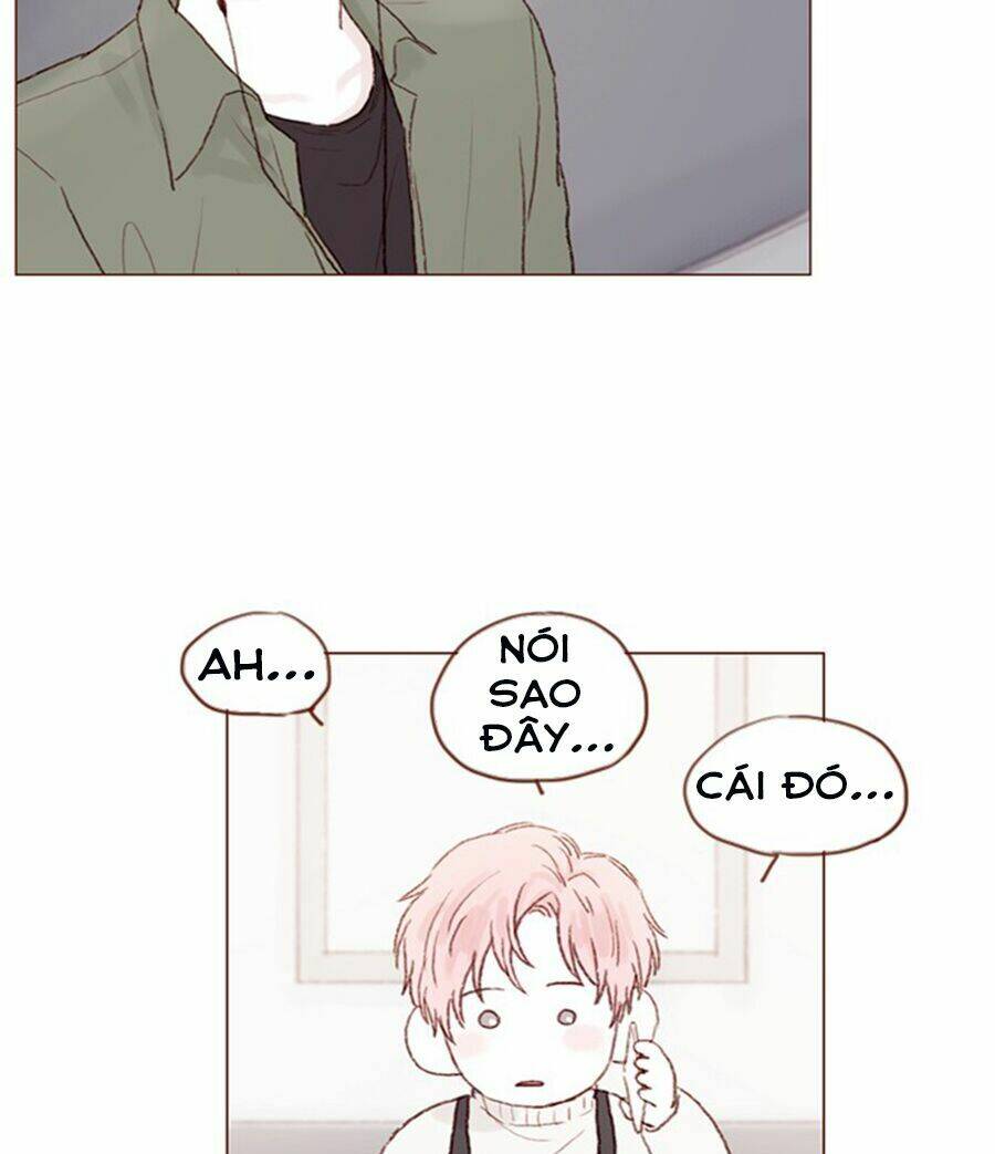 Hongshi Thích Tôi!: Chapter 19