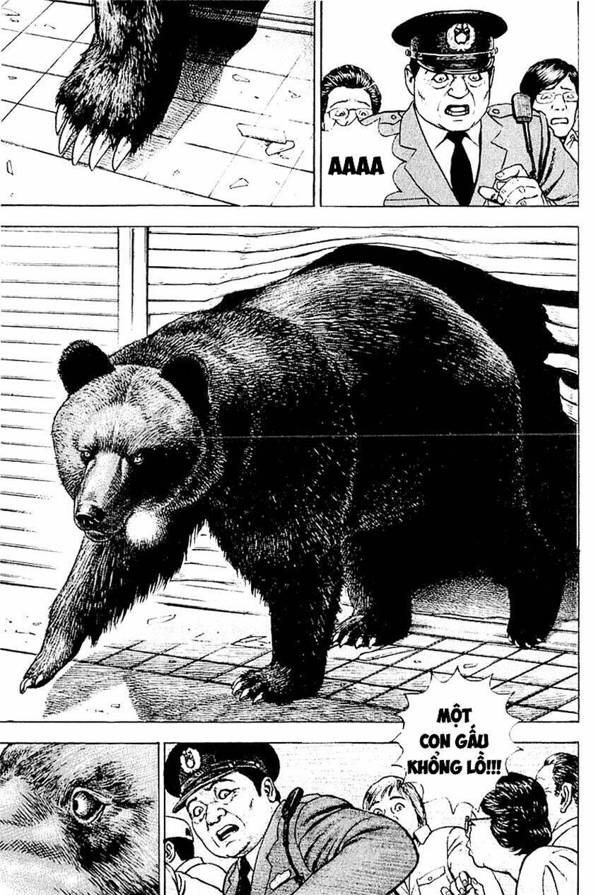 Tough - Miyazawa Kiichi: Chapter 347