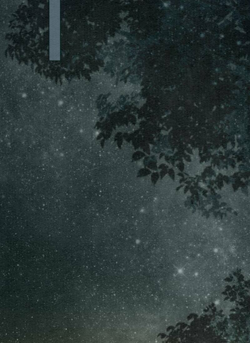 Xung Hỉ Vương Phi: Chapter 54