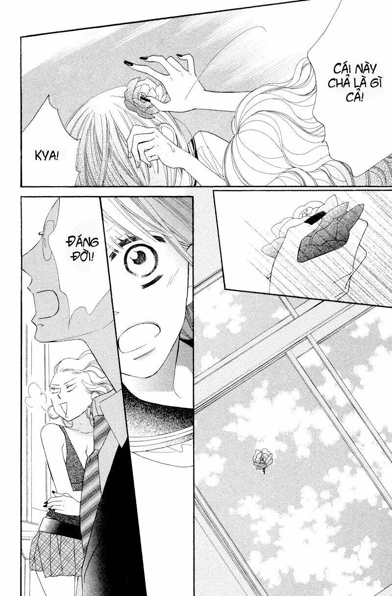 Hoa Trong Bão: Chapter 5
