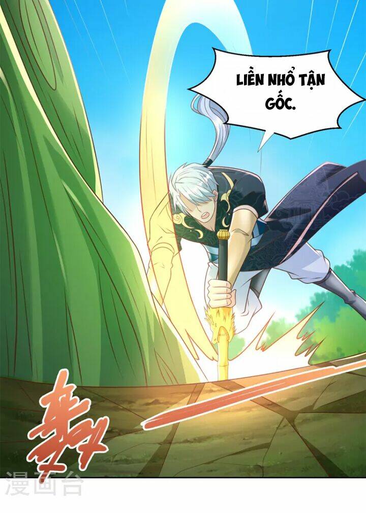 Chí Tôn Trọng Sinh: Chapter 146