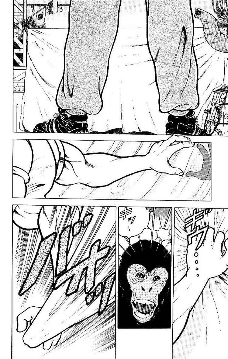 Grappler Baki: Chapter 53