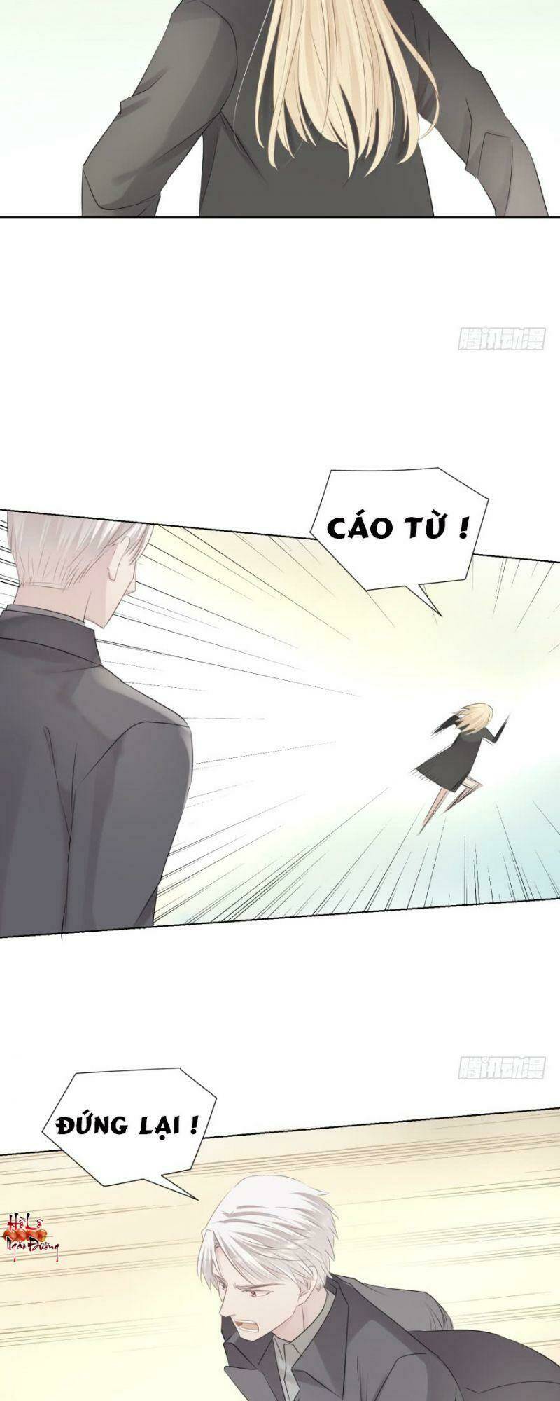 Điều Giáo Gấu Bắc Cực: Chapter 11
