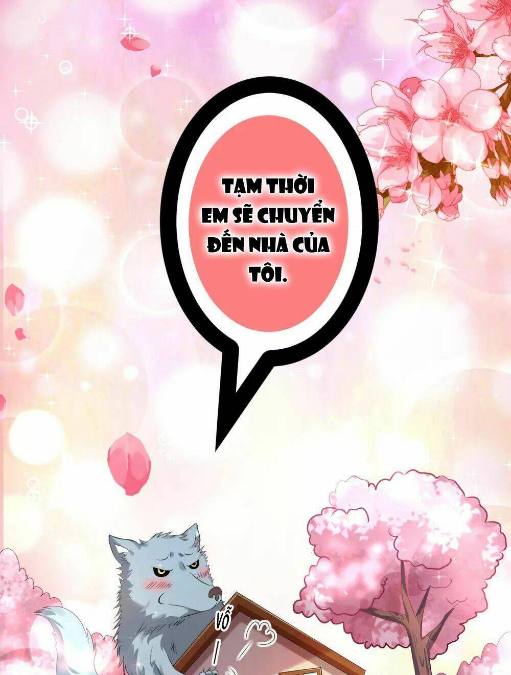 Tôi Bị Tổng Tài Ám Hại: Chapter 156