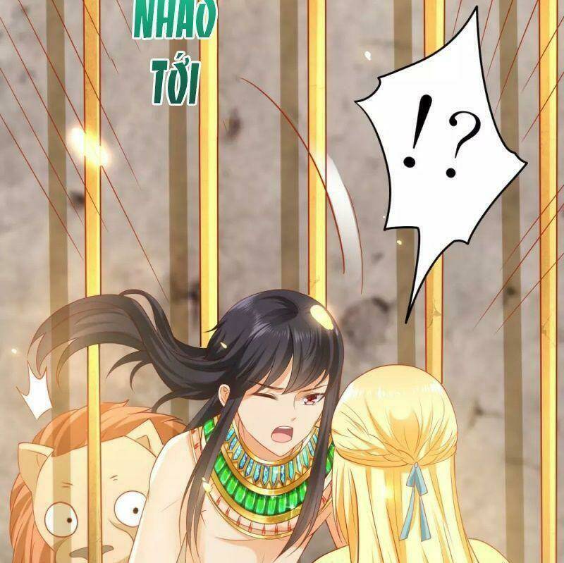 Sủng Hậu Của Vương: Chapter 56
