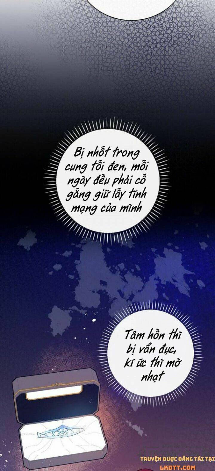 Kỵ Sĩ Đỏ Không Mê Tiền Mù Quáng: Chapter 38